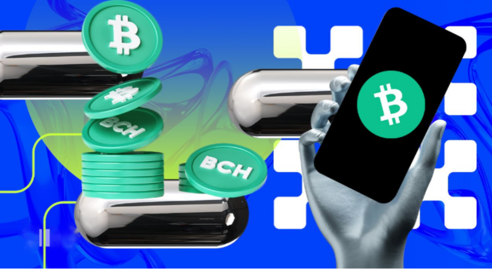 比特币现金（BCH）波动性加剧，价格可能面临两极分化风险