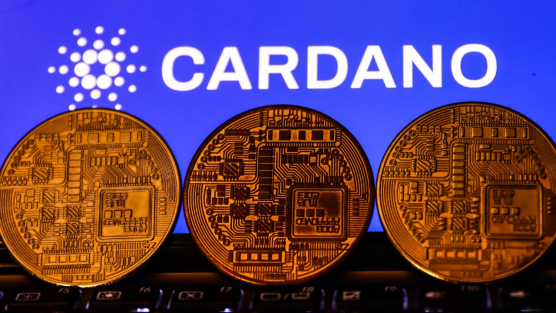 Cardano（ADA）陷入困境：跌出市值前十，未来走向引人关注